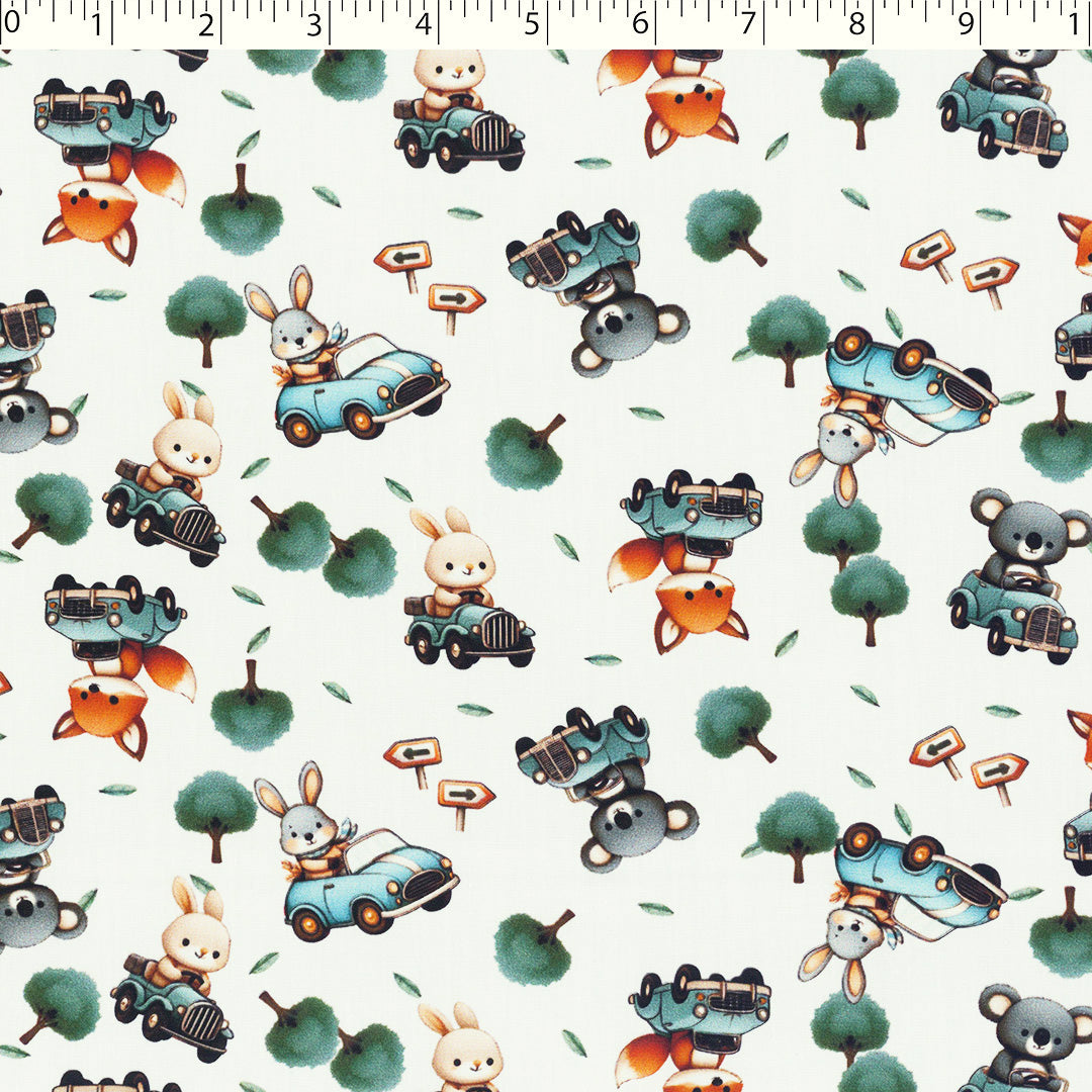 LITTLE ONES - LITTLE DRIVERS