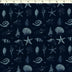 OCEAN VOYAGE - SHELLS