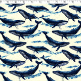 OCEAN VOYAGE - SEA SAILING