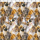 DOGS N CATS - PACKED CATS