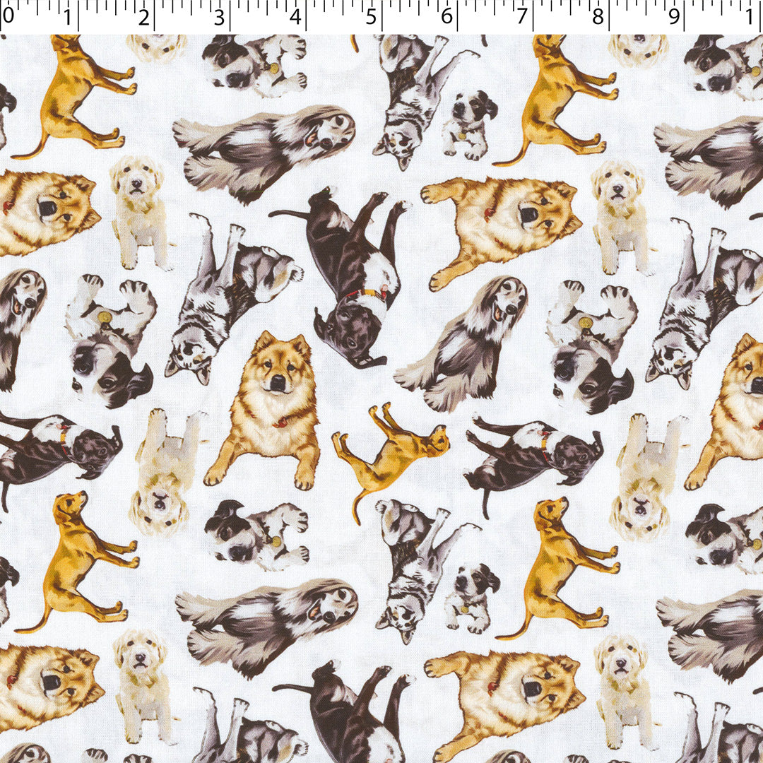 DOGS N CATS - TOSSED DOGS