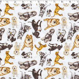 DOGS N CATS - TOSSED DOGS