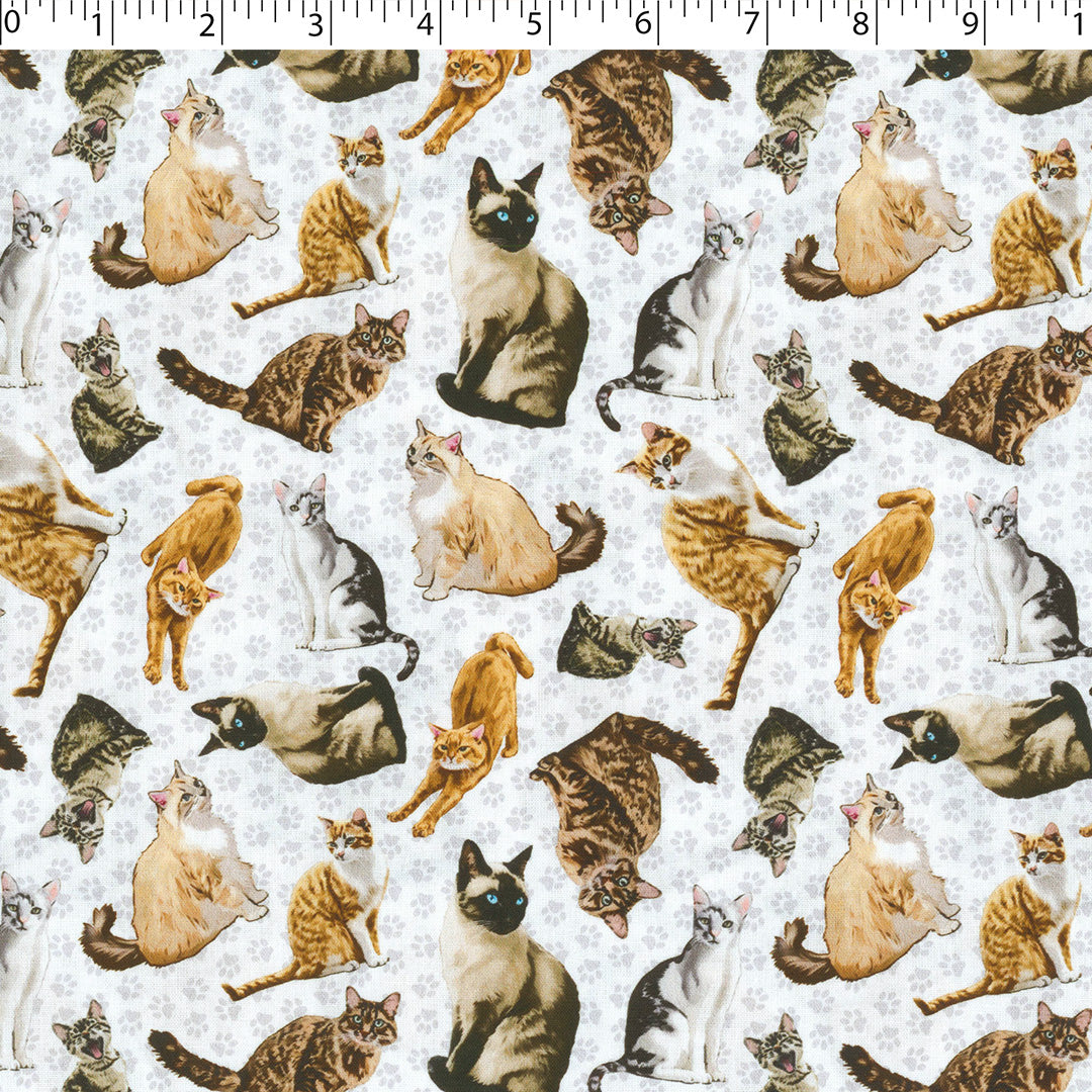 DOGS N CATS - TOSSED CATS