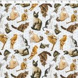 DOGS N CATS - TOSSED CATS