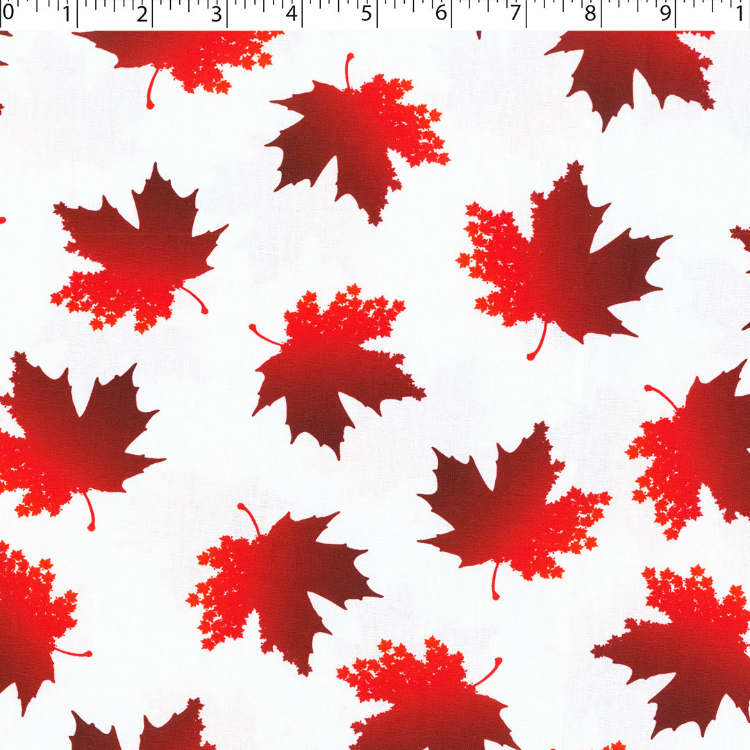 CANADA FOREVER - LEAF TOSS