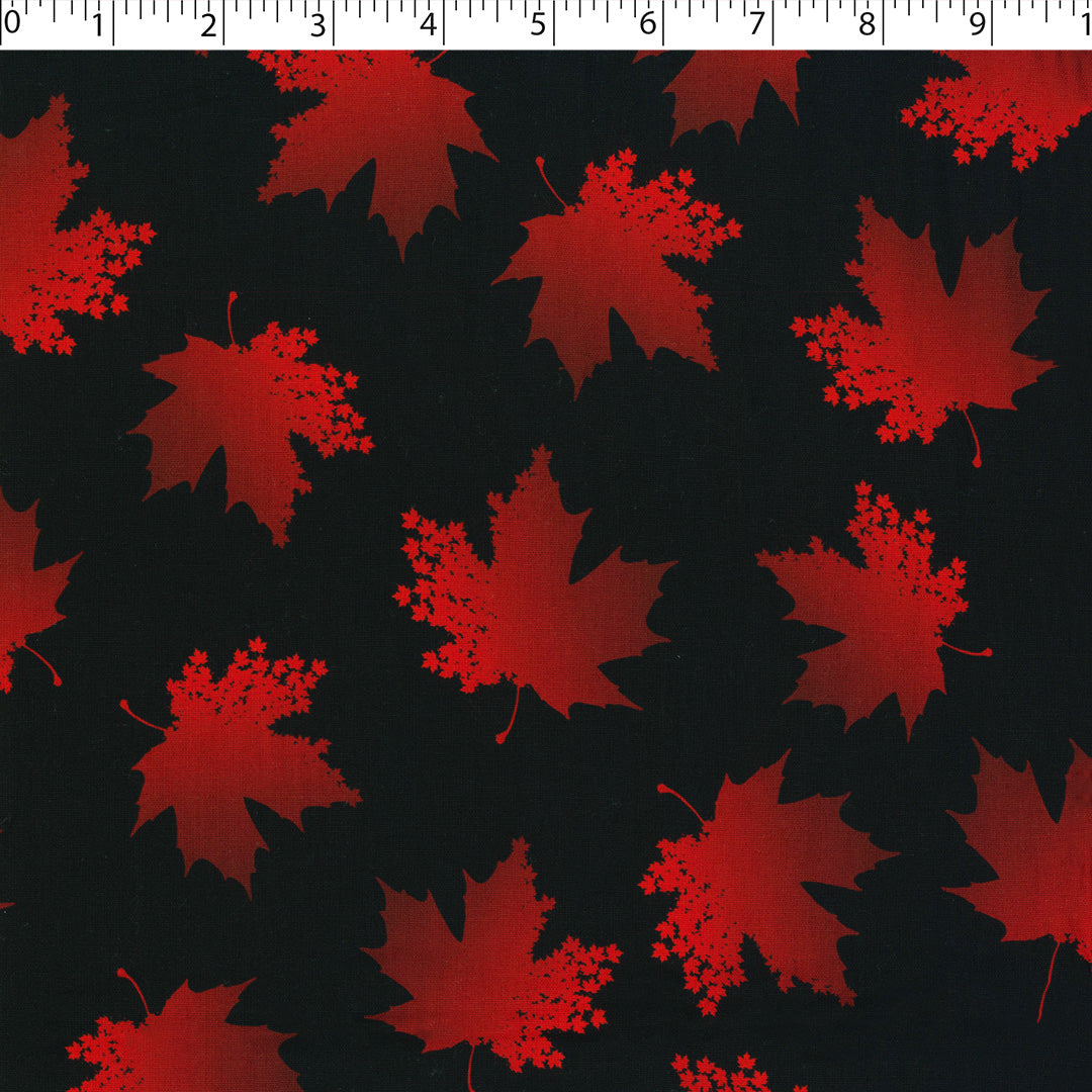 CANADA FOREVER - LEAF TOSS