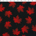 CANADA FOREVER - LEAF TOSS