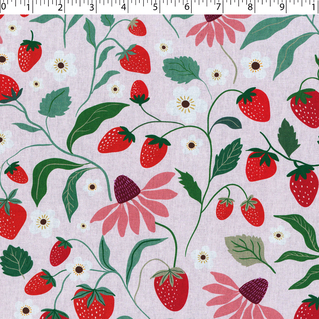 STRAWBERRY FIELDS - STRAWBERRY VINE