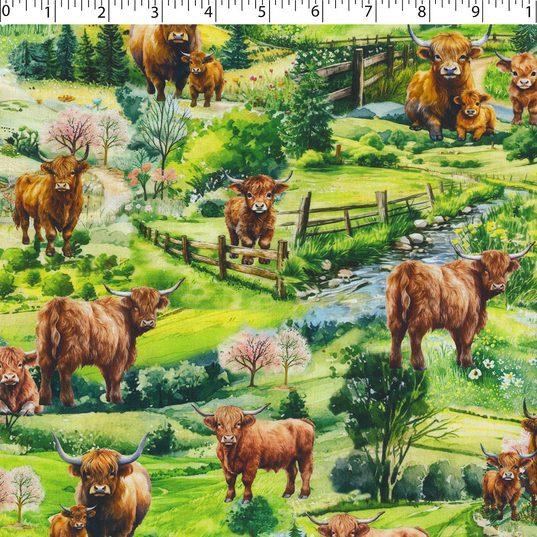 HIGHLAND COUNTRY