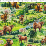 HIGHLAND COUNTRY