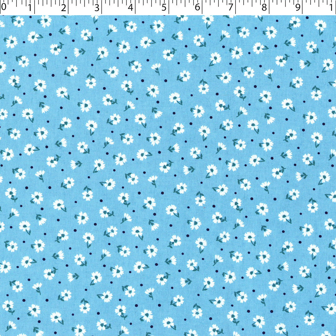 ASHBOURNE COORDINATES - CELESTE