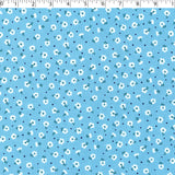 ASHBOURNE COORDINATES - CELESTE