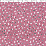 ASHBOURNE COORDINATES - CELESTE