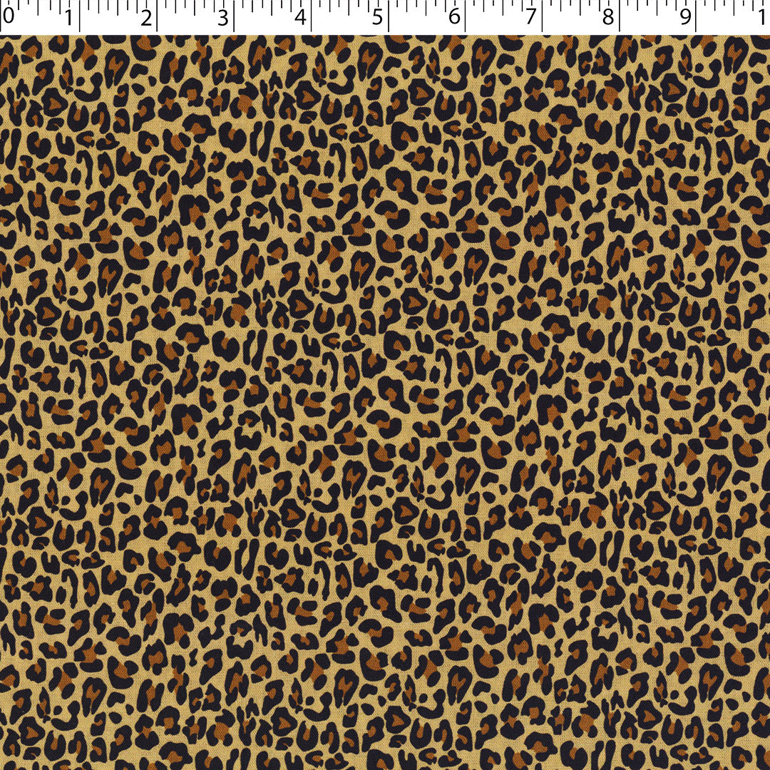 SAVANNAH COORDINATES - CHEETAH