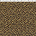 SAVANNAH COORDINATES - CHEETAH