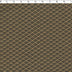AVANTI COORDINATES - ANA