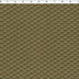 AVANTI COORDINATES - ANA
