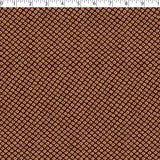 AVANTI COORDINATES - ALI