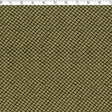 AVANTI COORDINATES - ALI