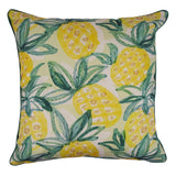 KENORA OUTDOOR CUSHION COVERS - PINEAPPLE