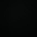 DESIREE - RAYON VOILE SOLIDS