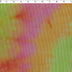 JUSTIN AND JUSTINE - TIE DYE MESH