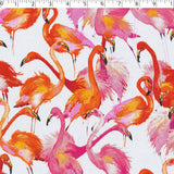CHIT CHAT COLLECTION - STRETCH COTTON PRINTS - FLAMINGO'S