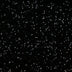 SOIREE - SEQUIN VELVET