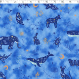 DREAMLAND - KNIT PRINTS - CAT/BUG/RABBIT