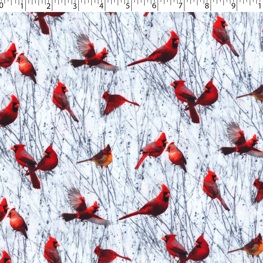 DREAMLAND - KNIT PRINTS - CARDINALS