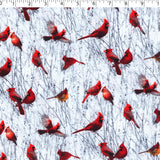 DREAMLAND - KNIT PRINTS - CARDINALS