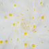 DAISY TULLE