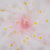 DAISY TULLE