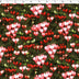 ARIELLE - RAYON PRINTS - BLEEDING HEARTS