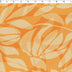 DAY DREAM COLLECTION - CHIFFON PRINTS - ABSTRACT