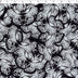 MUSE COLLECTION - CHIFFON PRINTS - BUTTERFLIES