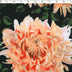 SAGE-PRINTS-LARGE FLORAL