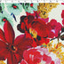CAMELLIA - KNIT PRINTS - LARGE FLORAL