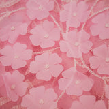PRINCESS CHARLOTTE - EMBROIDERED MESH-HANDLOOM