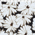 MUSE COLLECTION - KNIT PRINTS - FLAT FLORAL