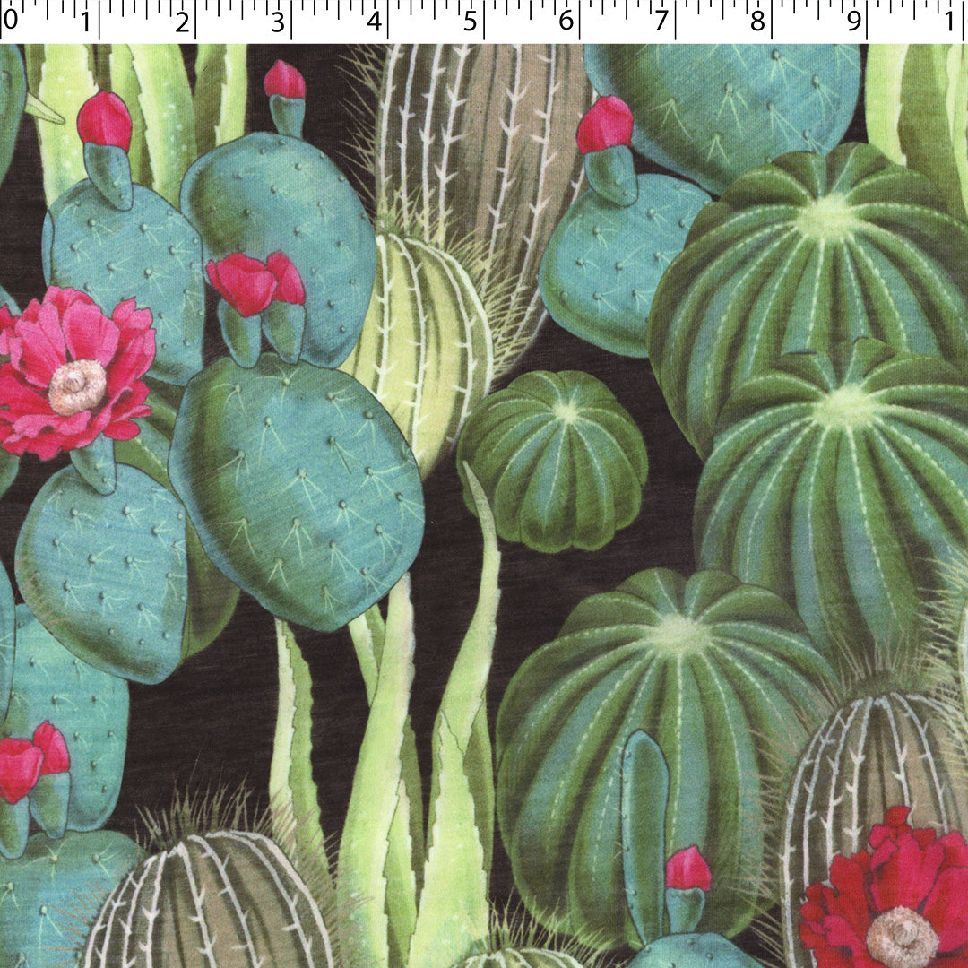 CHARLIE - KNIT PRINTS - CACTUS