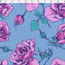 CHARLIE - KNIT PRINTS - ROSES