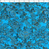 BEAUMONT BROCADES - BOTANICAL FLORAL