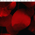 VERSAILLE - VELVET PRINTS - PETALS