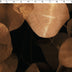 VERSAILLE - VELVET PRINTS - PETALS