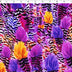 KATIE COLLECTION - RAYON POPLIN PRINTS - FEATHERS