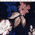 WILLOW VELVET-PRINTS-ROSE GLOW