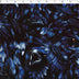 KATIE COLLECTION - SATIN PRINTS - RAVENS