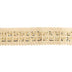 SEQUIN EMBROIDERED TRIM 4.6CM