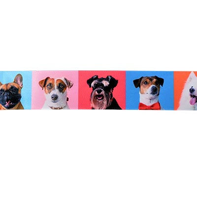 SINGLE FACE SATIN DOG PHOTO RIBBON 38MM (1.5")